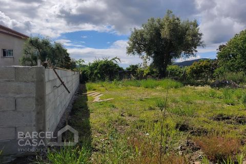 Helårsgrund i Barcelos, Braga, Barcelos - € 55.000 | Ref: 101/26 - foto 5