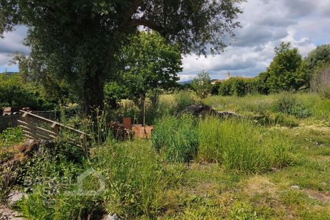 Helårsgrund i Barcelos, Braga, Barcelos - € 55.000 | Ref: 101/26 - foto 6