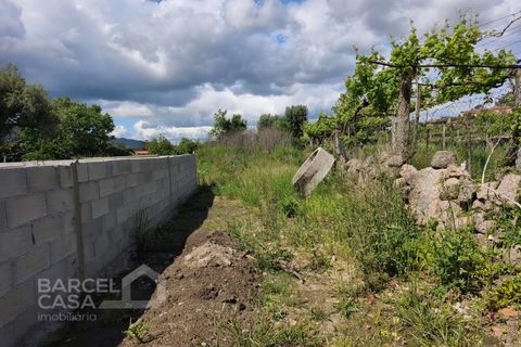 Helårsgrund i Barcelos, Braga, Barcelos - € 55.000 | Ref: 101/26 - foto 7