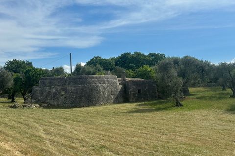 Villa i Ostuni, Brindisi, Ostuni - € 530.000 | Ref: 947 - foto 3