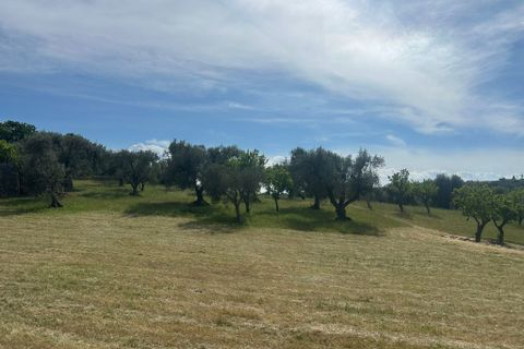 Villa i Ostuni, Brindisi, Ostuni - € 530.000 | Ref: 947 - foto 9