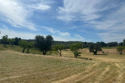 Villa i Ostuni, Brindisi, Ostuni - € 530.000 | Ref: 947 - foto 10