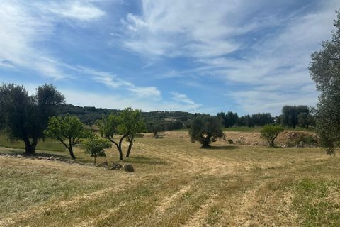 Villa i Ostuni, Brindisi, Ostuni - € 530.000 | Ref: 947 - foto 13