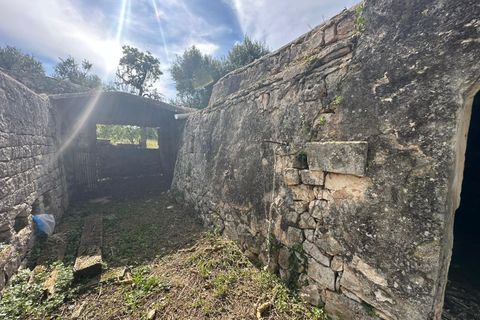 Villa i Ostuni, Brindisi, Ostuni - € 530.000 | Ref: 947 - foto 20