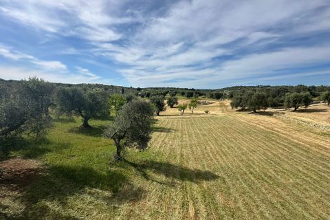 Villa i Ostuni, Brindisi, Ostuni - € 530.000 | Ref: 947 - foto 21