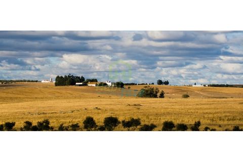 Landejendom i Redondo, Evora, Redondo - € 3.500.000 | Ref: 1070 - foto 3