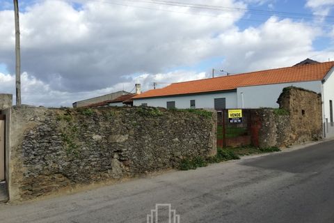 Helårsgrund i Estarreja, Aveiro, Estarreja - € 35.000 | Ref: 392-OVR - foto 3