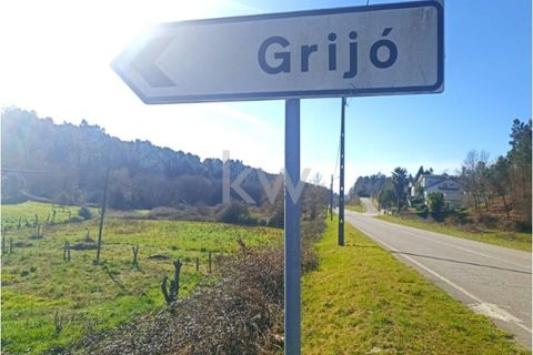 Villa a Castro Daire, Viseu, Castro Daire - € 25.000 | Ref: KWPT-002600 - foto 27
