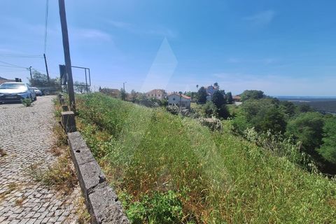 Terra a Luso, Aveiro, Luso - € 181.000 | Ref: 1060986/26 ÃL - foto 3