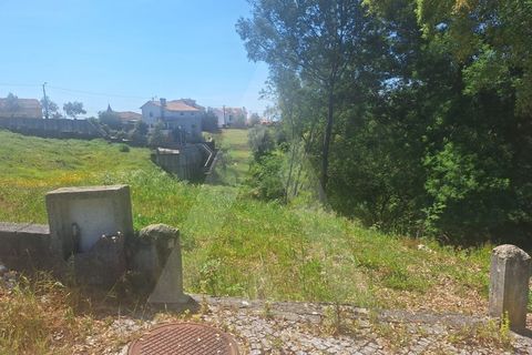 Terra a Luso, Aveiro, Luso - € 181.000 | Ref: 1060986/26 ÃL - foto 8