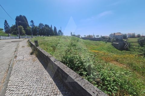 Terra a Luso, Aveiro, Luso - € 181.000 | Ref: 1060986/26 ÃL - foto 11