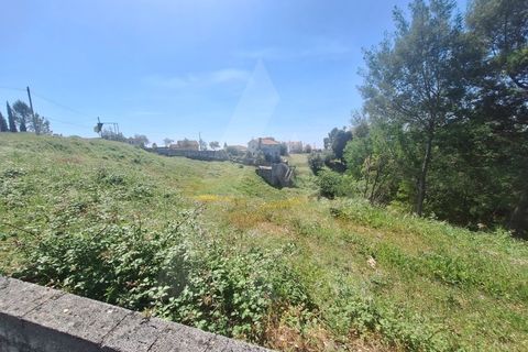 Terra a Luso, Aveiro, Luso - € 181.000 | Ref: 1060986/26 ÃL - foto 13