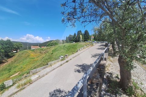 Terra a Luso, Aveiro, Luso - € 181.000 | Ref: 1060986/26 ÃL - foto 14