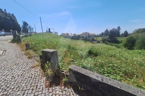 Terra a Luso, Aveiro, Luso - € 181.000 | Ref: 1060986/26 ÃL - foto 15