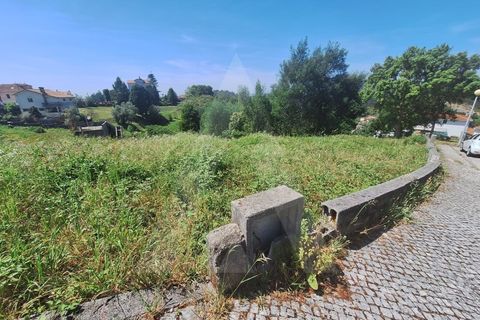 Terra a Luso, Aveiro, Luso - € 181.000 | Ref: 1060986/26 ÃL - foto 16