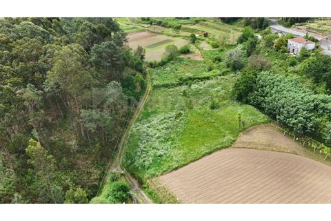Helårsgrund i Venade e Azevedo, Viana do Castelo, Venade e Azevedo - € 49.500 | Ref: 2810 - foto 1