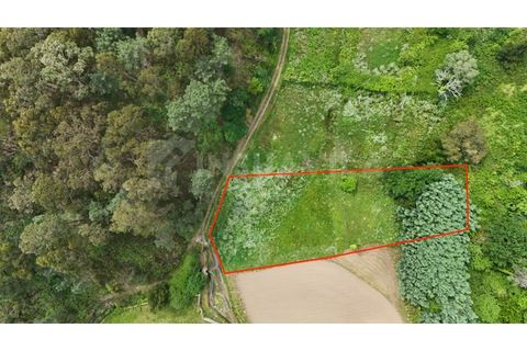 Helårsgrund i Venade e Azevedo, Viana do Castelo, Venade e Azevedo - € 49.500 | Ref: 2810 - foto 2