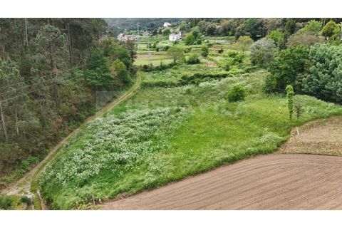 Helårsgrund i Venade e Azevedo, Viana do Castelo, Venade e Azevedo - € 49.500 | Ref: 2810 - foto 8