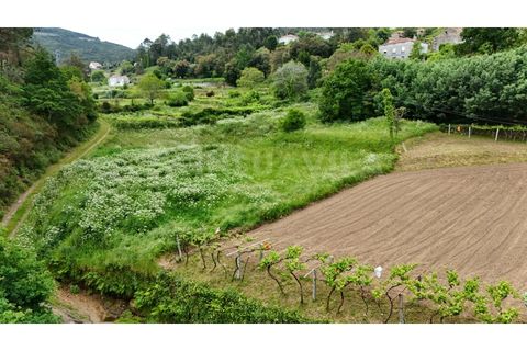Helårsgrund i Venade e Azevedo, Viana do Castelo, Venade e Azevedo - € 49.500 | Ref: 2810 - foto 9