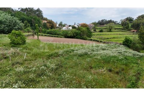 Helårsgrund i Venade e Azevedo, Viana do Castelo, Venade e Azevedo - € 49.500 | Ref: 2810 - foto 10