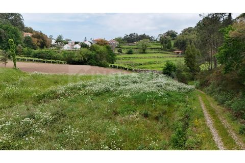 Helårsgrund i Venade e Azevedo, Viana do Castelo, Venade e Azevedo - € 49.500 | Ref: 2810 - foto 11