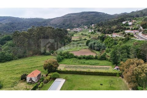 Helårsgrund i Venade e Azevedo, Viana do Castelo, Venade e Azevedo - € 49.500 | Ref: 2810 - foto 12