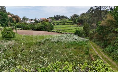 Helårsgrund i Venade e Azevedo, Viana do Castelo, Venade e Azevedo - € 49.500 | Ref: 2810 - foto 13