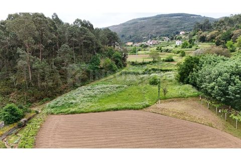 Helårsgrund i Venade e Azevedo, Viana do Castelo, Venade e Azevedo - € 49.500 | Ref: 2810 - foto 14