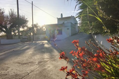 Villa a Putignano, Bari, Putignano - € 130.000 | Ref: PENYPU - foto 5