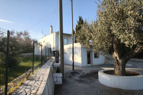 Villa a Putignano, Bari, Putignano - € 130.000 | Ref: PENYPU - foto 10