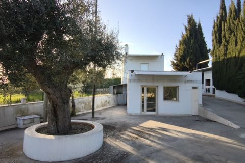 Villa a Putignano, Bari, Putignano - € 130.000 | Ref: PENYPU - foto 28