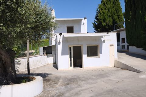 Villa a Putignano, Bari, Putignano - € 130.000 | Ref: PENYPU - foto 35