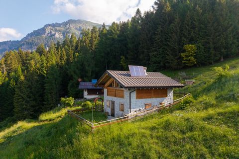 Landejendom i Valdaone, Trento, Valdaone - € 200.000 | Ref: 797 - foto 14