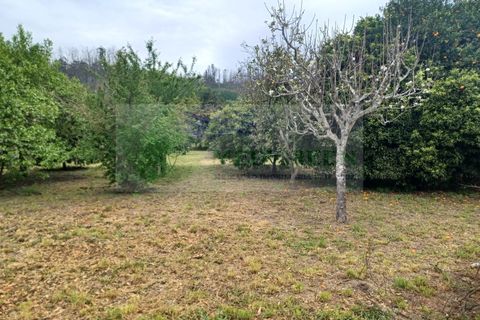 Villa i Sever do Vouga, Aveiro, Sever do Vouga - € 225 000 | Ref: CAS_1819 - foto 42