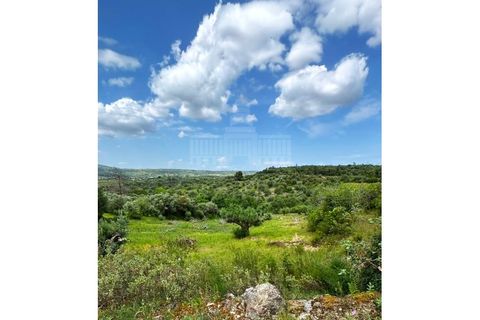 Terra a Assentiz, Santarem, Assentiz - € 13.500 | Ref: SÒL_193 - foto 2