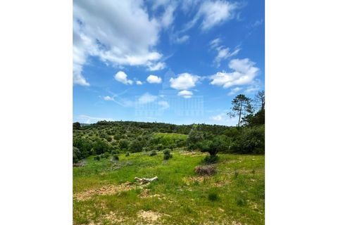 Terra a Assentiz, Santarem, Assentiz - € 13.500 | Ref: SÒL_193 - foto 4