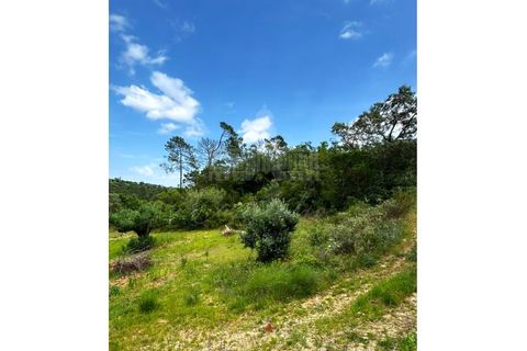 Terra a Assentiz, Santarem, Assentiz - € 13.500 | Ref: SÒL_193 - foto 5