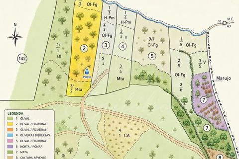 Terra a Assentiz, Santarem, Assentiz - € 13.500 | Ref: SÒL_193 - foto 3