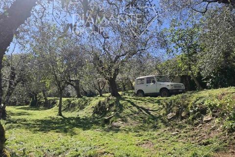 Helårsgrund i Panicale, Perugia, Panicale - € 30.000 | Ref: PN1808 - foto 1
