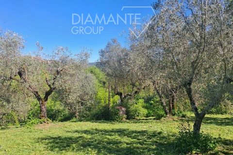 Helårsgrund i Panicale, Perugia, Panicale - € 30.000 | Ref: PN1808 - foto 2