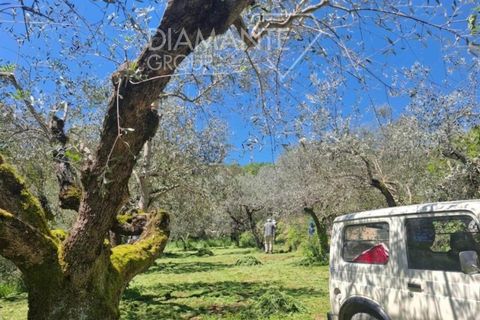 Helårsgrund i Panicale, Perugia, Panicale - € 30.000 | Ref: PN1808 - foto 3