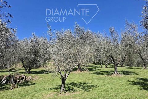 Helårsgrund i Panicale, Perugia, Panicale - € 30.000 | Ref: PN1808 - foto 4