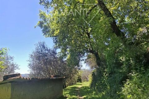 Helårsgrund i Panicale, Perugia, Panicale - € 30.000 | Ref: PN1808 - foto 5