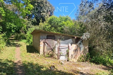 Helårsgrund i Panicale, Perugia, Panicale - € 30.000 | Ref: PN1808 - foto 6
