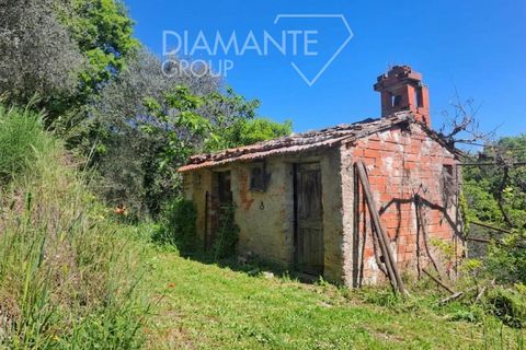 Helårsgrund i Panicale, Perugia, Panicale - € 30.000 | Ref: PN1808 - foto 7