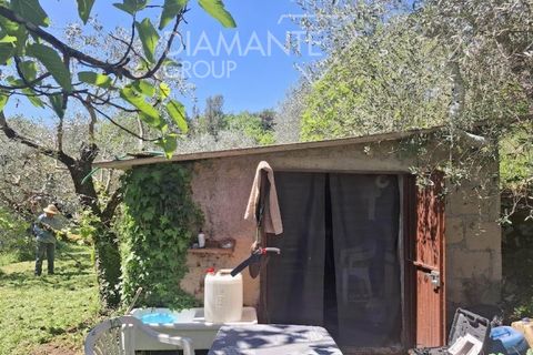 Helårsgrund i Panicale, Perugia, Panicale - € 30.000 | Ref: PN1808 - foto 8