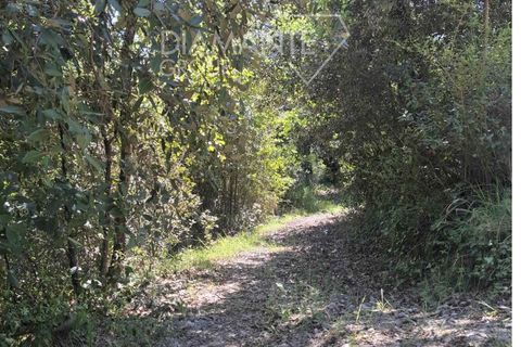 Helårsgrund i Panicale, Perugia, Panicale - € 30.000 | Ref: PN1808 - foto 10