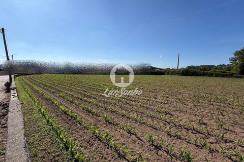 Helårsgrund i Vila do Conde, Porto, Vila do Conde - € 275.000 | Ref: 240-T-26257 - foto 1