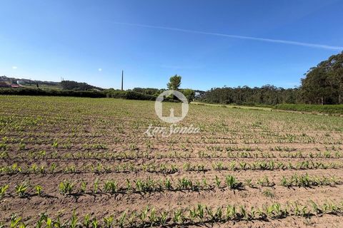 Helårsgrund i Vila do Conde, Porto, Vila do Conde - € 275.000 | Ref: 240-T-26257 - foto 10