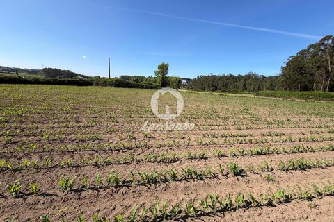 Helårsgrund i Vila do Conde, Porto, Vila do Conde - € 275.000 | Ref: 240-T-26257 - foto 12